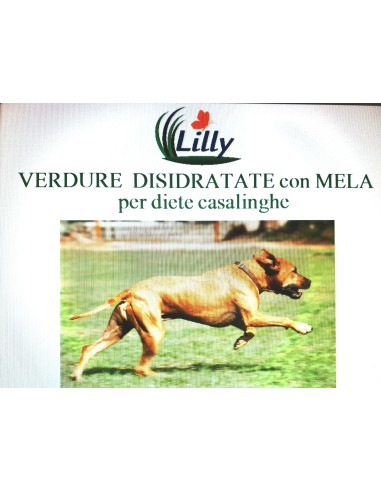 VERDURE DISIDRATE CON MELA